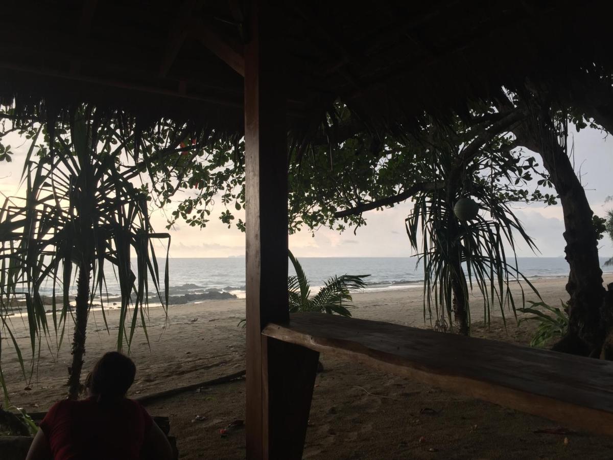 فندق تْشام كوفي  Cocobar&Bungalow'Kohjum المظهر الخارجي الصورة